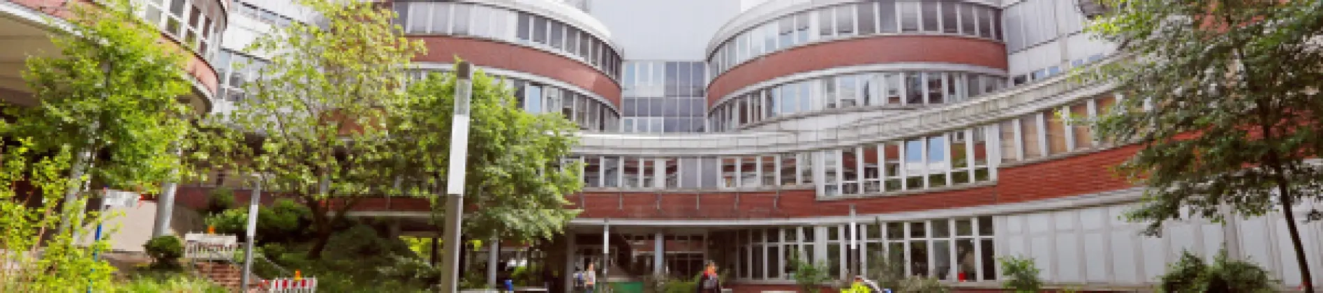 Master of Arts in Modern East Asian Studies (MA MEAS)